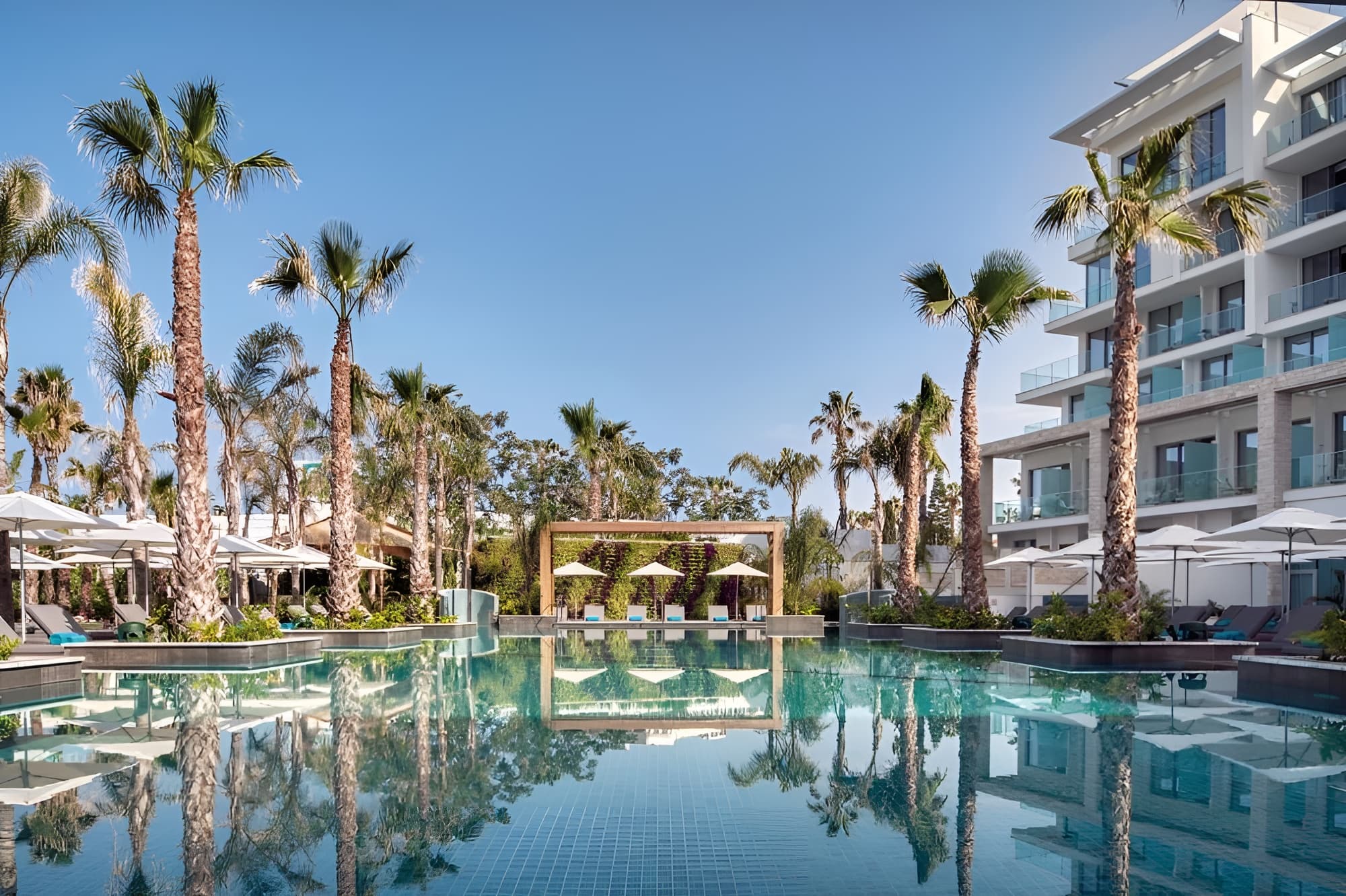 Amavi Hotel image 1