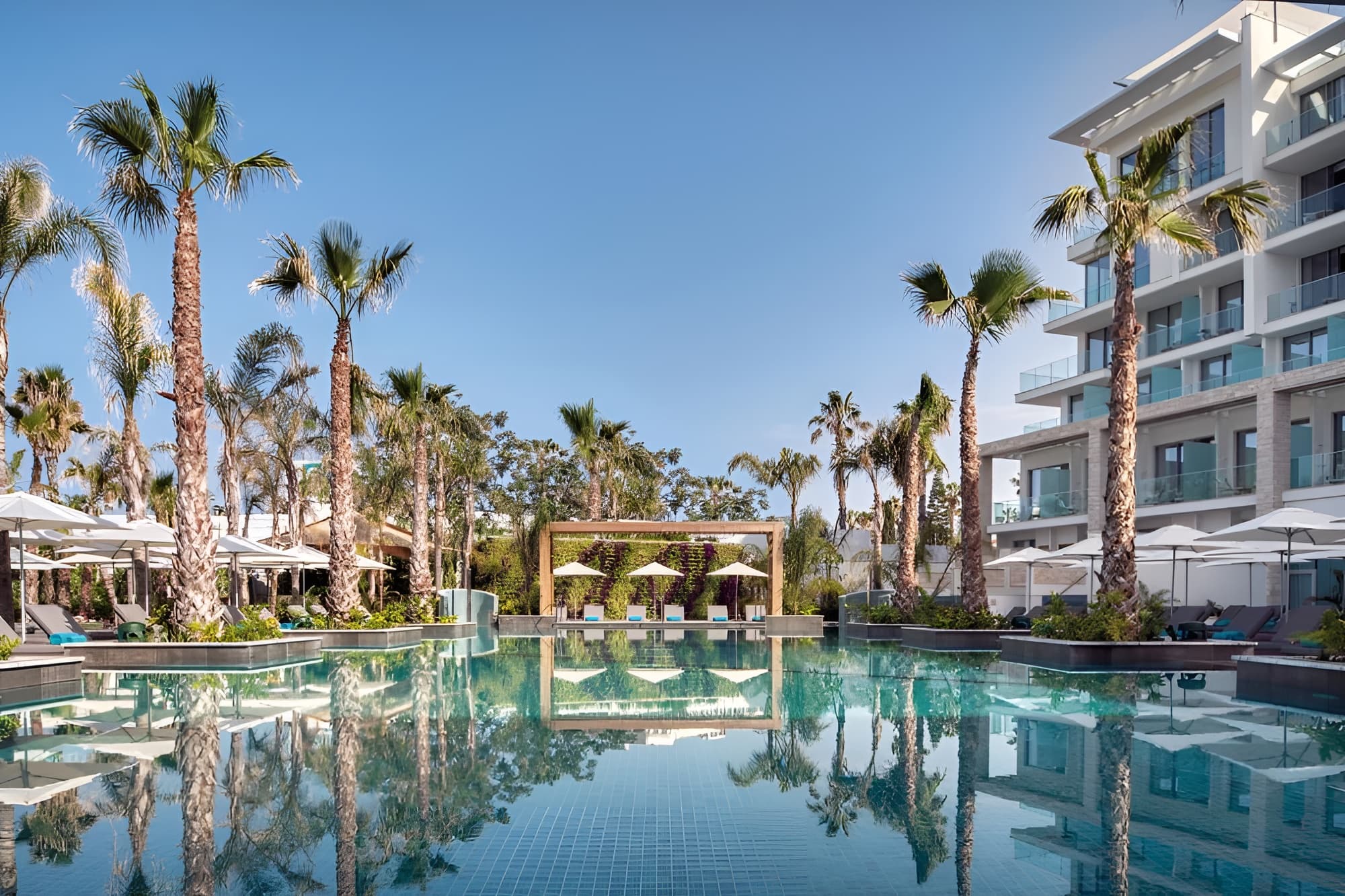 Amavi Hotel image 5
