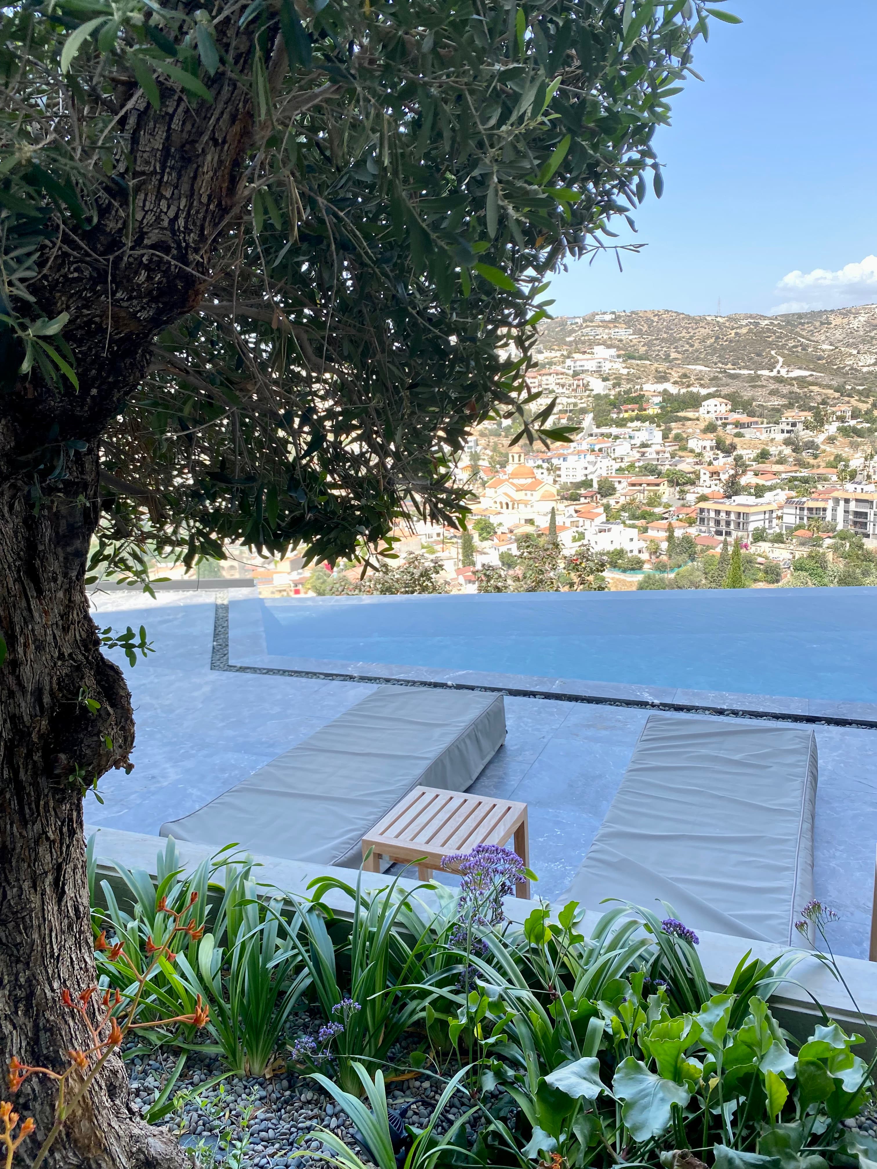 Gran Vista image 7