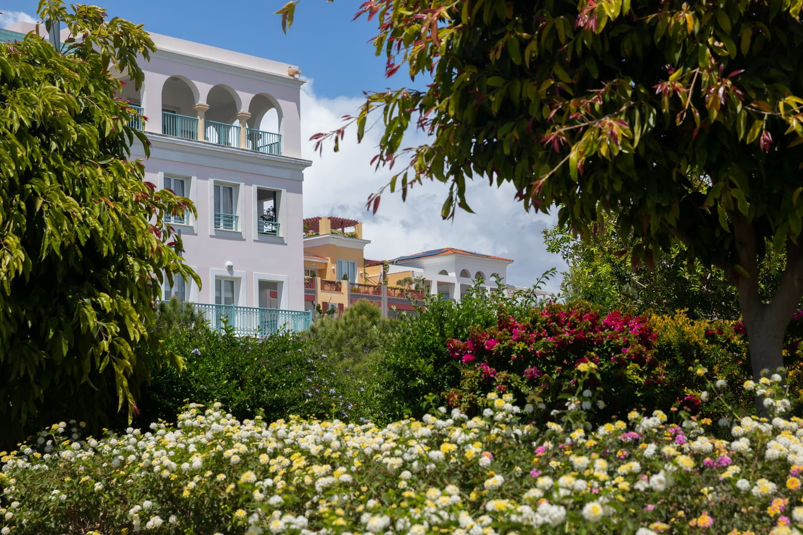 Limassol Marina image 14