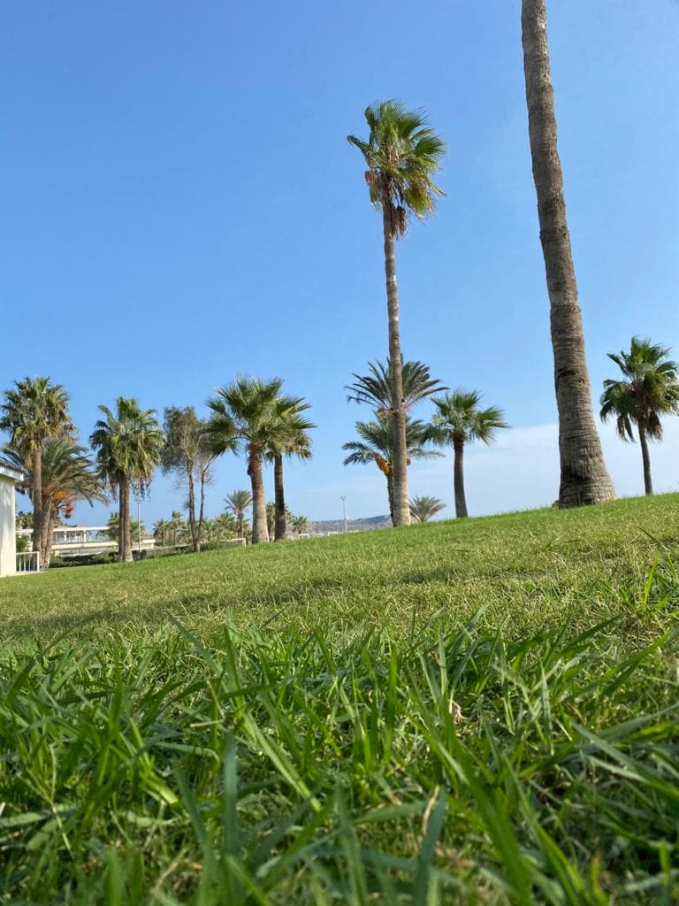 Atlantica Mare Village Ayia Napa image 10